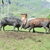 VALTOURNENCHE-2013